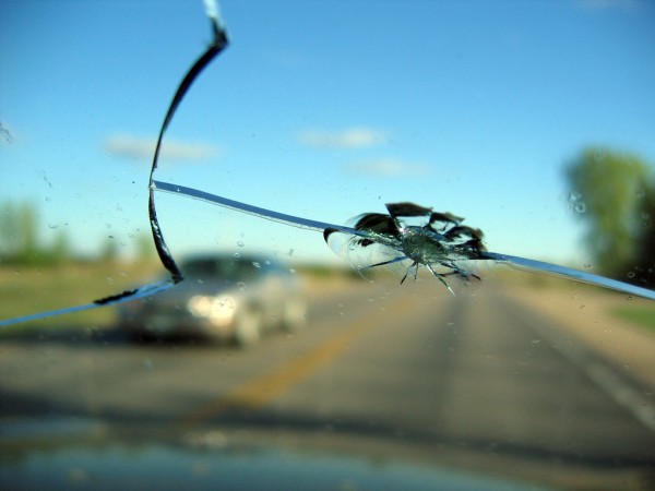 Cracked Windshield