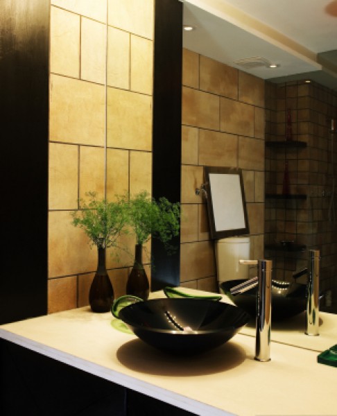 bathroom mirror,vanity,glass,mirror,glass shelving,shower doors,tub enclosure,European shower,glass countertop