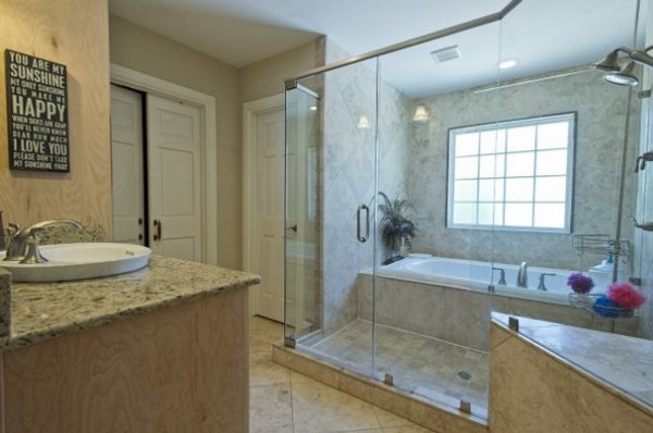 Shower Door/Bathtub Combination