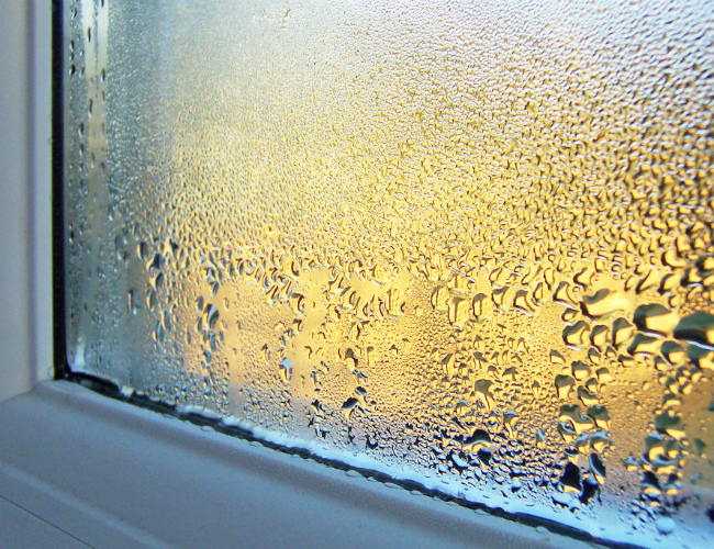 Condensation Between Panes